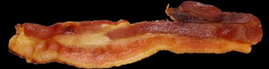 Bacon strip as a logo for BaconSpot.com